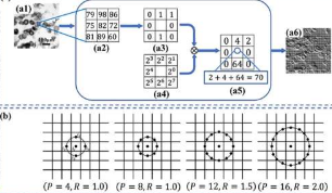 快速全彩傅里叶图像显微术为数字病理学提供了新的解决方案