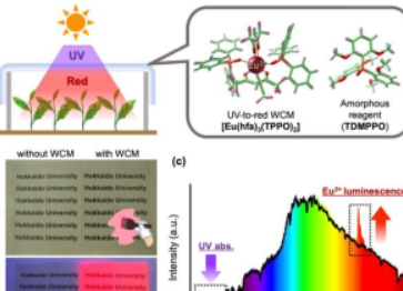 紫外到红光转换薄膜可加速植物生长有助于改善全球粮食供应问题