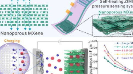 最大化用于锌离子储能的纳米级离子通道MXene电极中的离子可及性