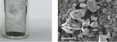 科学家研究使用月球土壤在月球上可持续地供应氧气和燃料