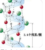 估计每个氨基酸残基贡献的新方法