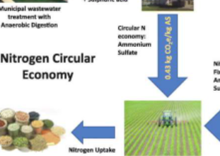 将废水转化为肥料是可行的可以使农业更具可持续性