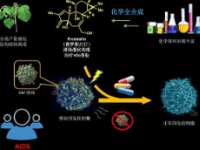 综合方法解决了天然产物药物发现中的一些最大挑战