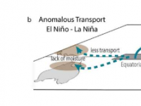 与厄尔尼诺现象有关的气团输送解码