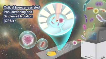 光学镊子能够快速低成本地筛查细菌和癌细胞