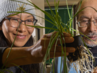 爱达荷州学生 教授开发新型微生物燃料电池系统