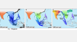 南洋理工大学新加坡研究显示海平面上升导致东南亚史前人类迁徙