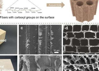 科学家开发全天然木材灵感气凝胶
