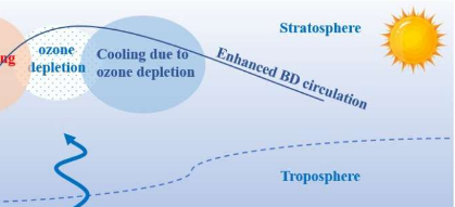 臭氧消耗导致冬季南极上层平流层变暖