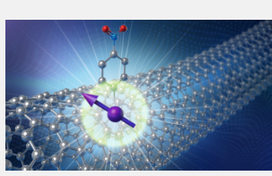 碳的管状纳米材料是旋转量子位的理想家园