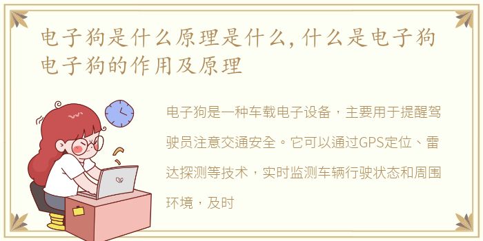 电子狗是什么原理是什么,什么是电子狗 电子狗的作用及原理