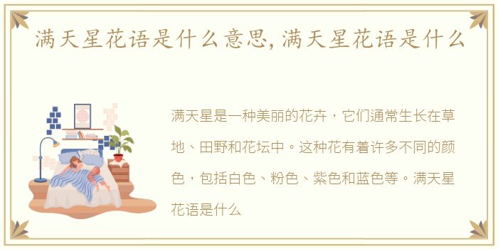 满天星花语是什么意思,满天星花语是什么