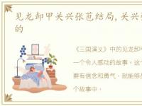 见龙卸甲关兴张苞结局,关兴张苞是怎样死的