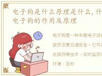 电子狗是什么原理是什么,什么是电子狗 电子狗的作用及原理