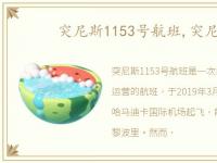 突尼斯1153号航班,突尼斯1