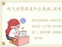 吸气后背疼是什么原因,深吸气后背疼