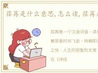 荏苒是什么意思,怎么读,荏苒是什么意思