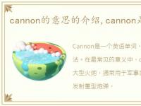 cannon的意思的介绍,cannon是什么意思