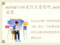 autopilot是什么意思啊,autopilot是什么意思