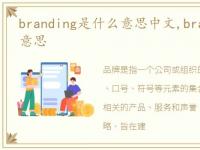 branding是什么意思中文,branding是什么意思