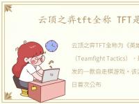 云顶之弈tft全称 TFT是什么