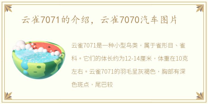 云雀7071的介绍，云雀7070汽车图片