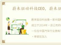 蔚来驱动科技CEO，蔚来驱动科技