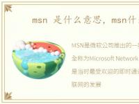 msn 是什么意思，msn什么意思