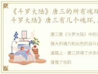 《斗罗大陆》唐三的所有魂环是什么?，《斗罗大陆》唐三有几个魂环,唐三的各个魂环是什么