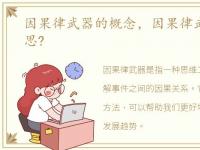 因果律武器的概念，因果律武器是什么意思?