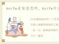 knife是啥意思啊，knife什么意思中文