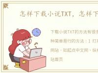 怎样下载小说TXT，怎样下载小说