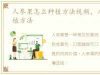 人参果怎么种植方法视频，人参果怎么种植方法