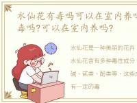 水仙花有毒吗可以在室内养吗，水仙花有毒吗?可以在室内养吗?