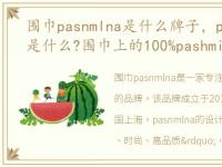 围巾pasnmlna是什么牌子，pashmina围巾是什么?围巾上的100%pashmina啥意思