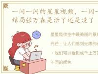 一闪一闪的星星视频，一闪一闪亮星星大结局张万森是活了还是没了