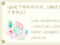 lgd是干嘛的的介绍，LGD是什么意思?(老干爹战队)