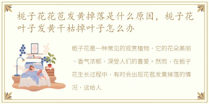 栀子花花苞发黄掉落是什么原因，栀子花叶子发黄干枯掉叶子怎么办