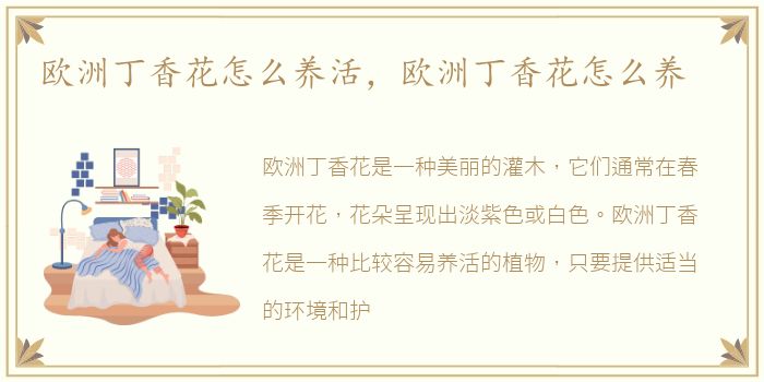 欧洲丁香花怎么养活，欧洲丁香花怎么养