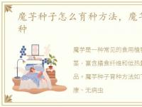 魔芋种子怎么育种方法，魔芋种子怎么育种