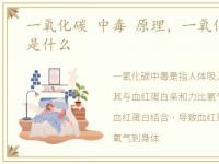 一氧化碳 中毒 原理，一氧化碳中毒原理是什么