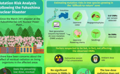 研究评估了福岛核灾难残留辐射导致突变的风险
