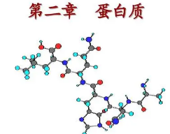 高度互补的 生物学相关的蛋白质-蛋白质相互作用可以完全偶然地进化