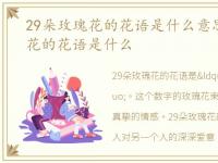 29朵玫瑰花的花语是什么意思，29朵玫瑰花的花语是什么