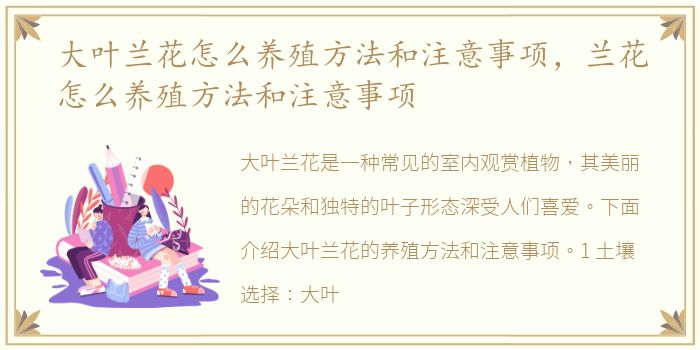 大叶兰花怎么养殖方法和注意事项，兰花怎么养殖方法和注意事项