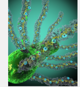 研究微生物如何制造纳米线以呼出电子的团队获得了著名的资助