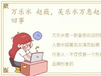 万乐水 赵薇，吴乐水万惠赵薇事件是怎么回事