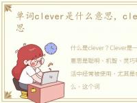 单词clever是什么意思，clever是什么意思