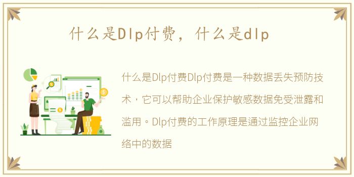 什么是Dlp付费，什么是dlp