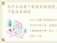 为什么迅雷下载速度特别慢，为什么迅雷下载速度很慢